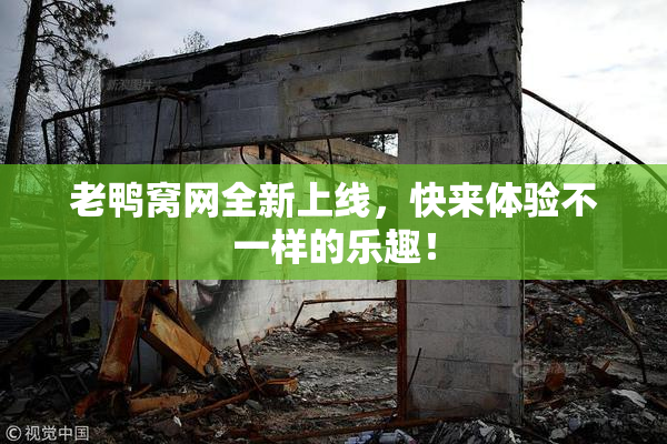 老鸭窝网全新上线，快来体验不一样的乐趣！