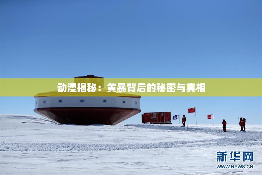 动漫揭秘：黄暴背后的秘密与真相