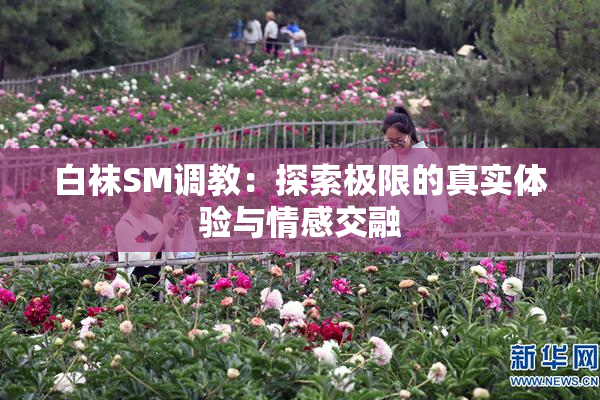 白袜SM调教：探索极限的真实体验与情感交融