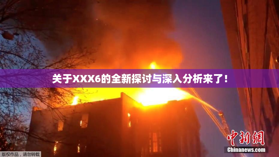 关于XXX6的全新探讨与深入分析来了！