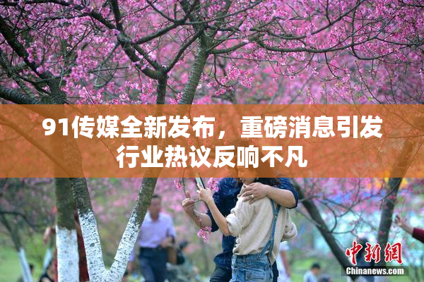 91传媒全新发布，重磅消息引发行业热议反响不凡