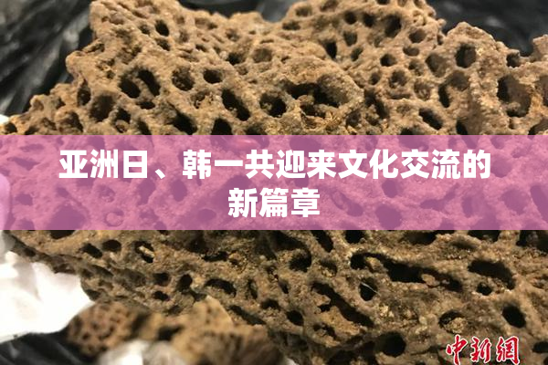 亚洲日、韩一共迎来文化交流的新篇章
