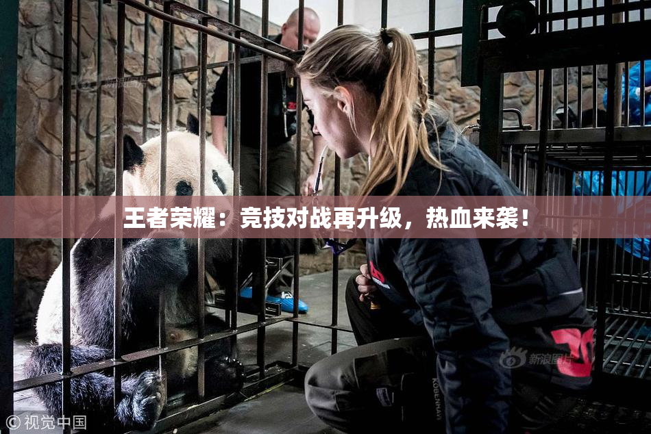 王者荣耀：竞技对战再升级，热血来袭！