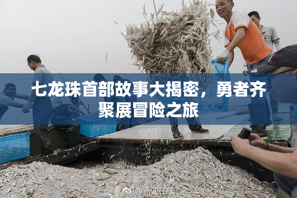 七龙珠首部故事大揭密，勇者齐聚展冒险之旅