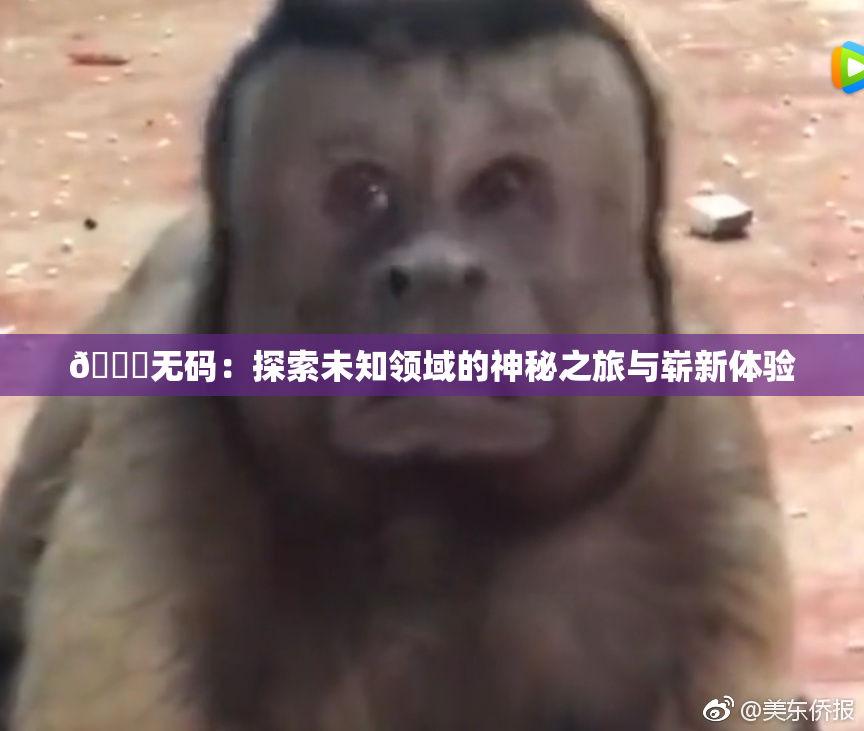 🔞无码：探索未知领域的神秘之旅与崭新体验