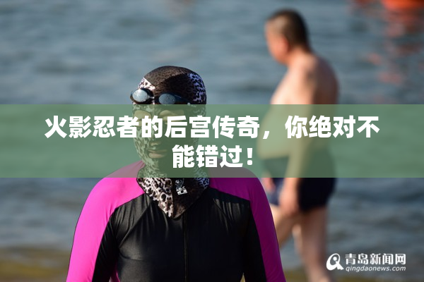 火影忍者的后宫传奇，你绝对不能错过！