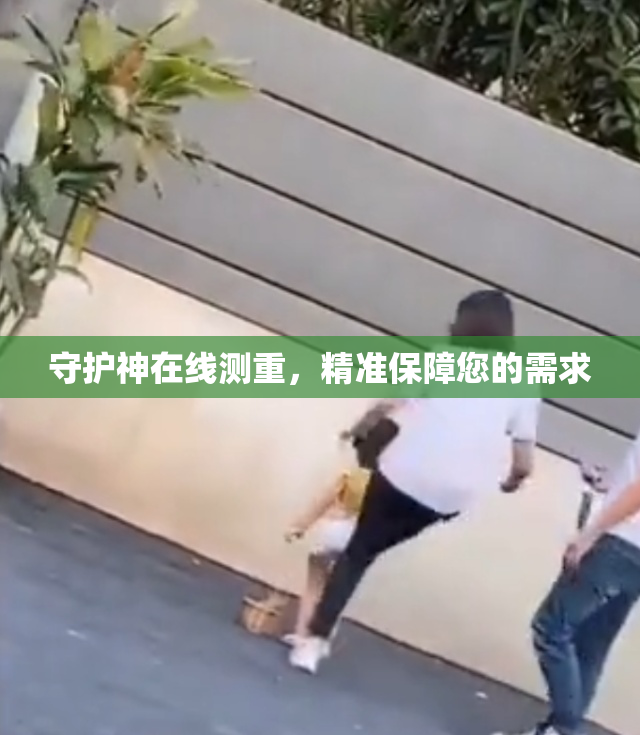 守护神在线测重，精准保障您的需求