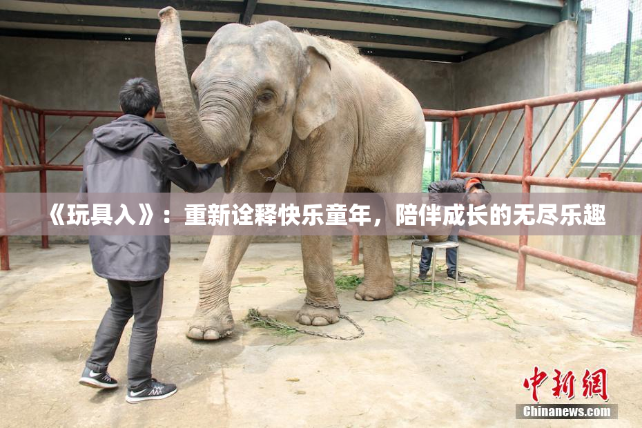 《玩具入》：重新诠释快乐童年，陪伴成长的无尽乐趣