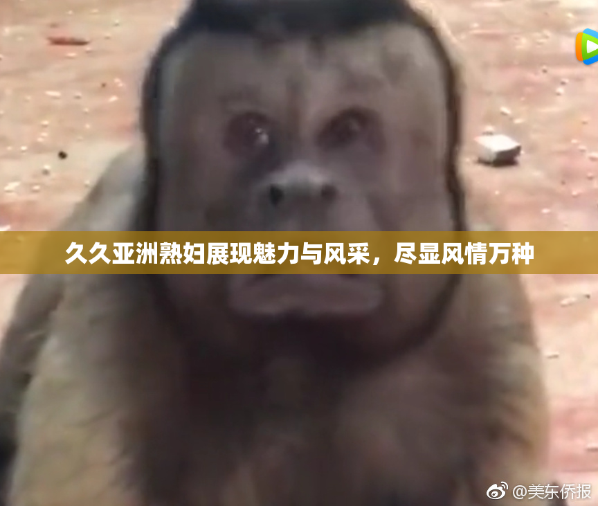 久久亚洲熟妇展现魅力与风采，尽显风情万种