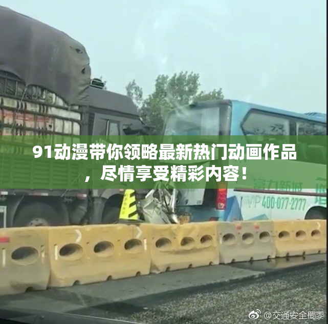 91动漫带你领略最新热门动画作品，尽情享受精彩内容！
