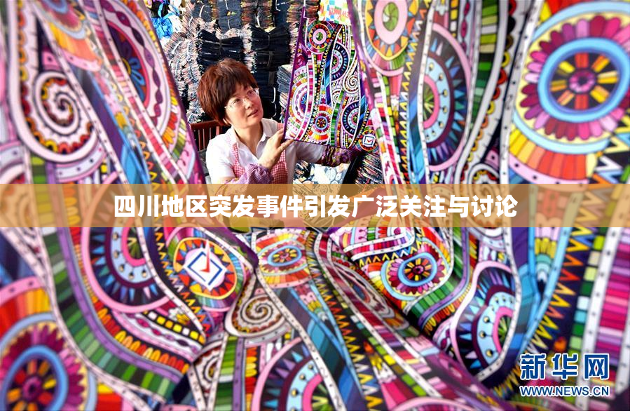 四川地区突发事件引发广泛关注与讨论