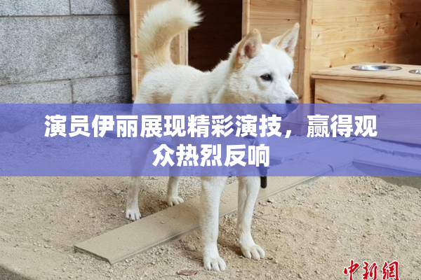 演员伊丽展现精彩演技，赢得观众热烈反响