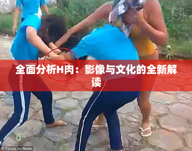 全面分析H肉：影像与文化的全新解读
