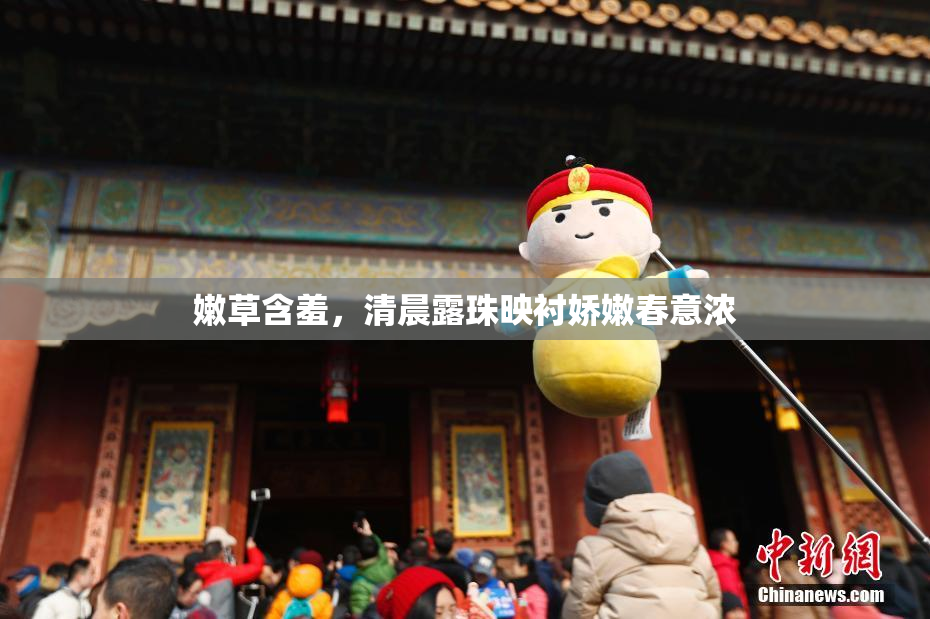 嫩草含羞，清晨露珠映衬娇嫩春意浓
