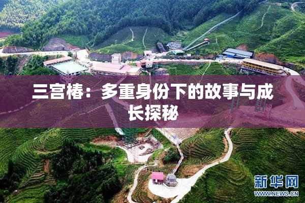 三宫椿：多重身份下的故事与成长探秘