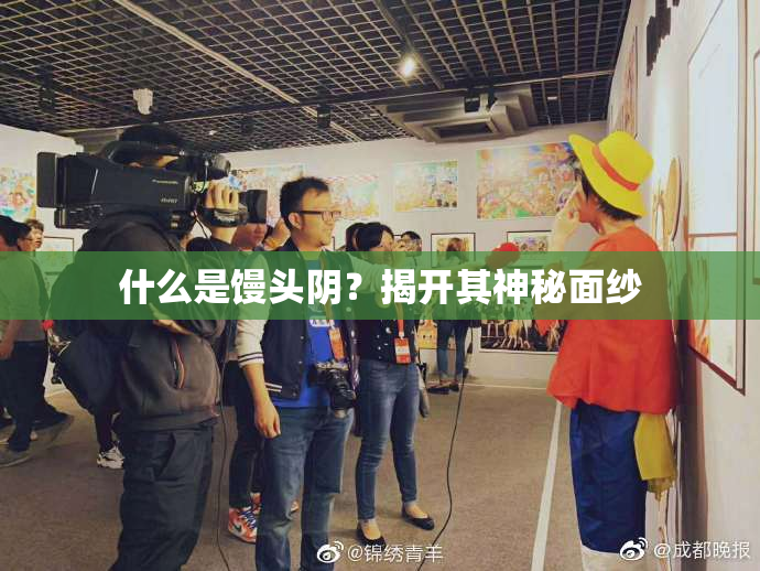 什么是馒头阴？揭开其神秘面纱