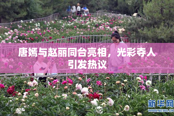唐嫣与赵丽同台亮相，光彩夺人引发热议