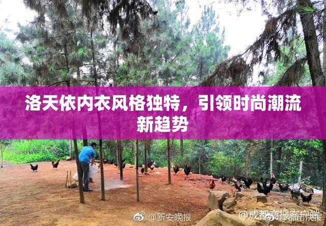 洛天依内衣风格独特，引领时尚潮流新趋势