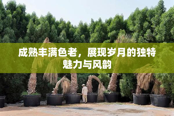 成熟丰满色老，展现岁月的独特魅力与风韵