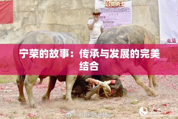 宁荣的故事：传承与发展的完美结合