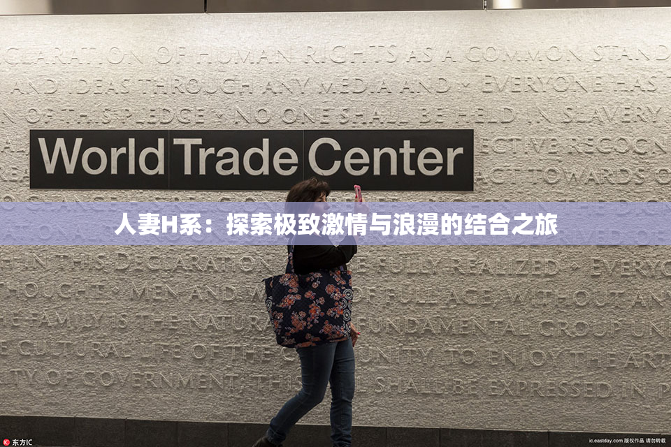 人妻H系：探索极致激情与浪漫的结合之旅