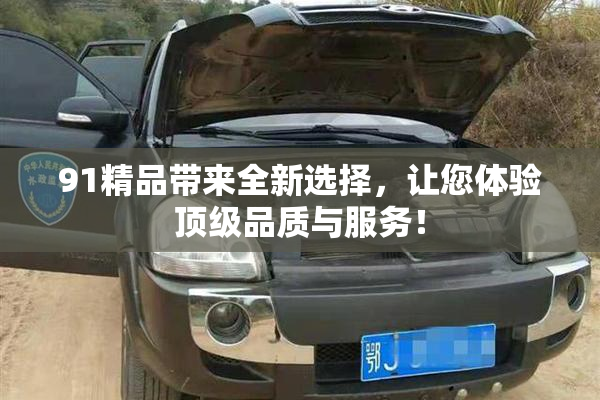 91精品带来全新选择，让您体验顶级品质与服务！