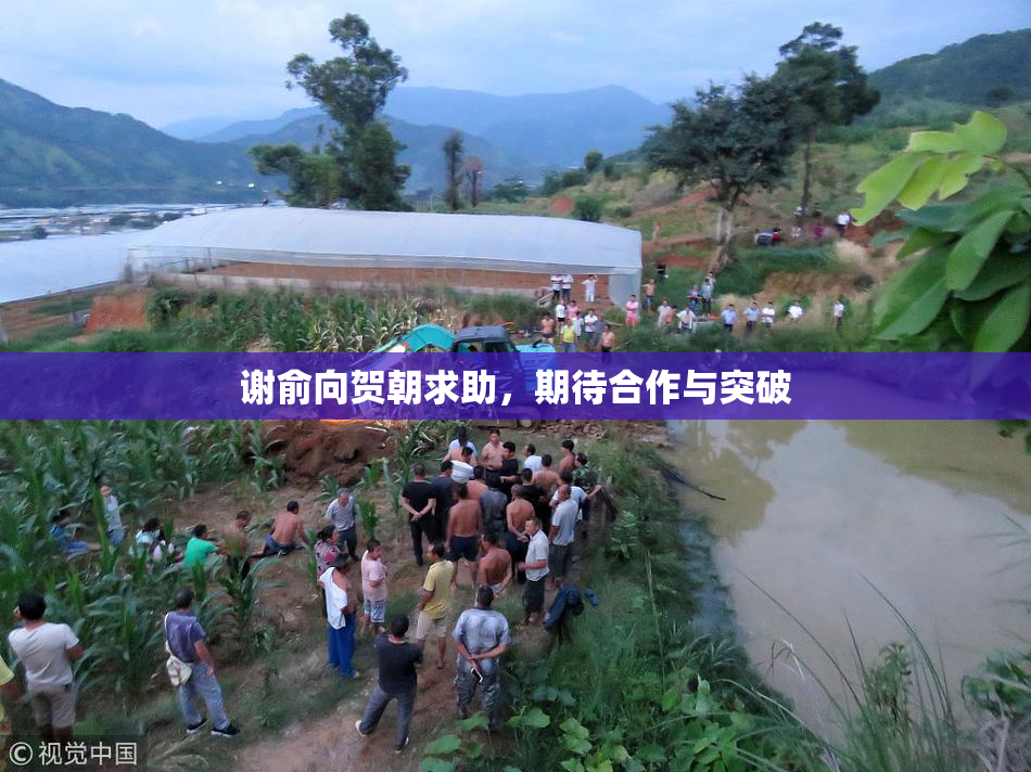 谢俞向贺朝求助，期待合作与突破