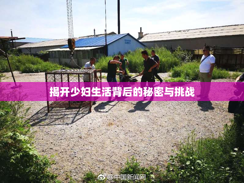 揭开少妇生活背后的秘密与挑战