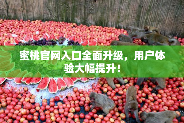蜜桃官网入口全面升级，用户体验大幅提升！