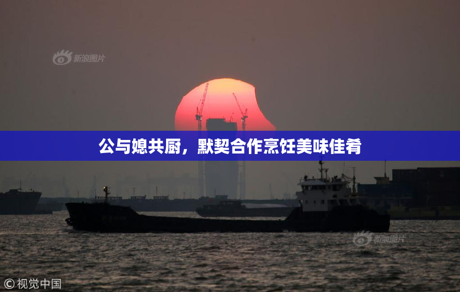 公与媳共厨，默契合作烹饪美味佳肴