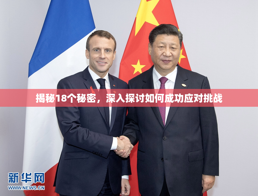 揭秘18个秘密，深入探讨如何成功应对挑战