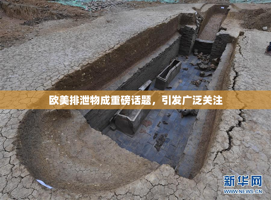 欧美排泄物成重磅话题，引发广泛关注