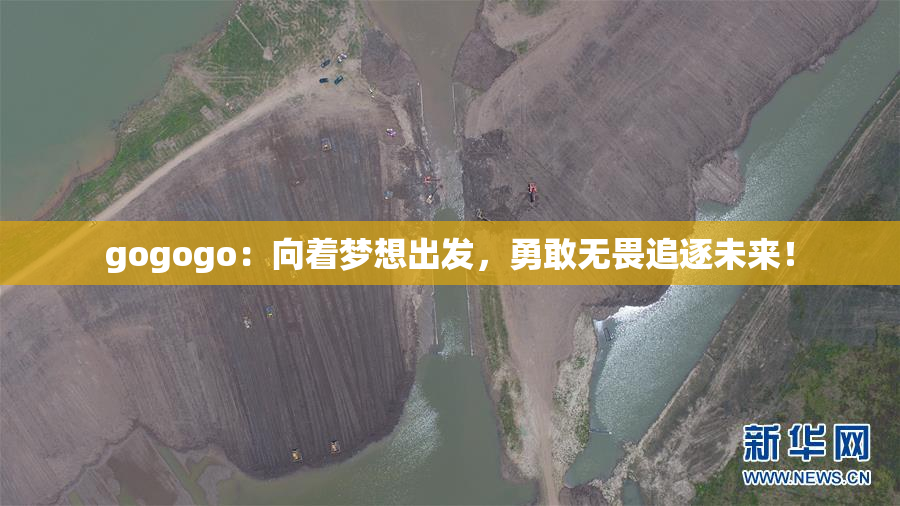 gogogo：向着梦想出发，勇敢无畏追逐未来！