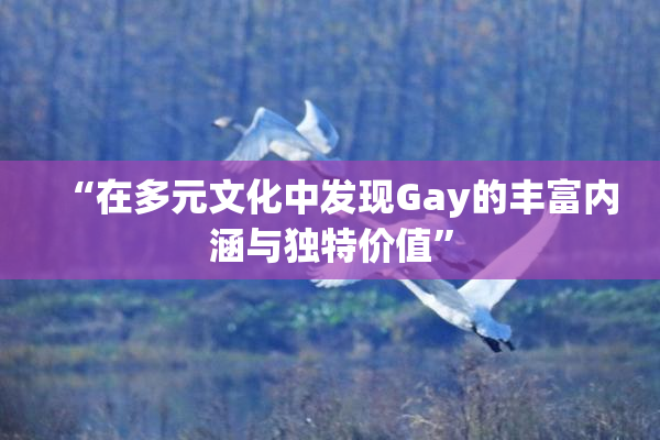 “在多元文化中发现Gay的丰富内涵与独特价值”