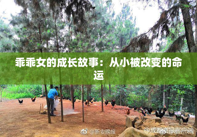 乖乖女的成长故事：从小被改变的命运