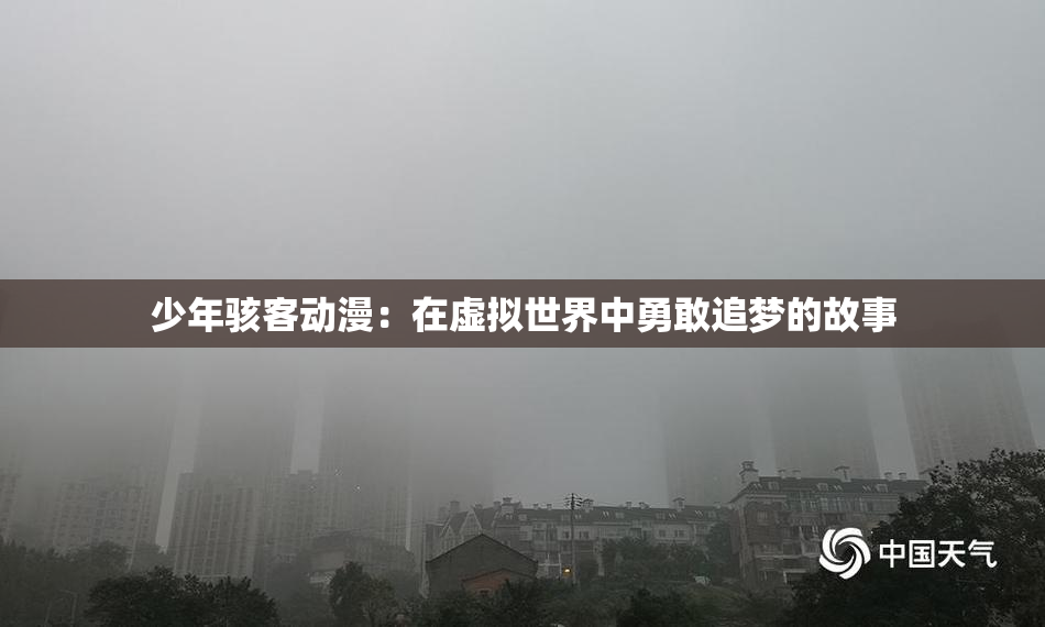 少年骇客动漫：在虚拟世界中勇敢追梦的故事