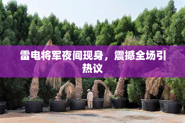 雷电将军夜间现身，震撼全场引热议
