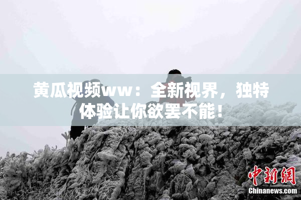 黄瓜视频ww：全新视界，独特体验让你欲罢不能！