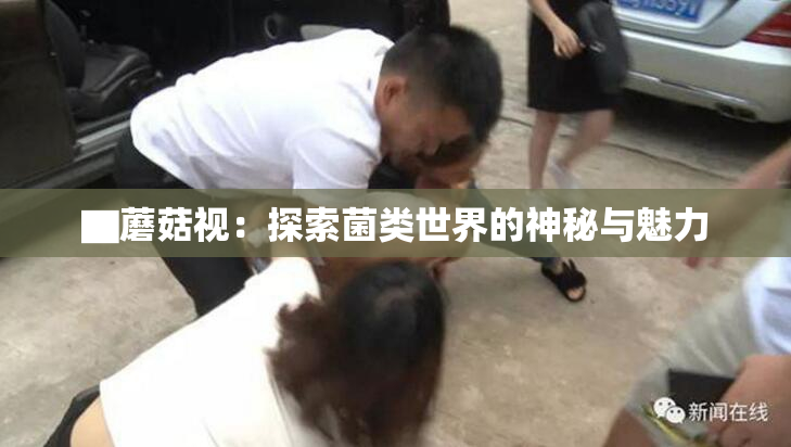 ▇蘑菇视：探索菌类世界的神秘与魅力