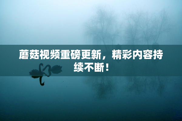 蘑菇视频重磅更新，精彩内容持续不断！