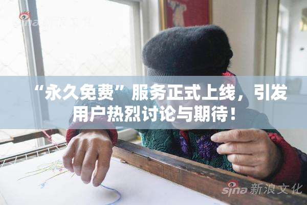 “永久免费”服务正式上线，引发用户热烈讨论与期待！