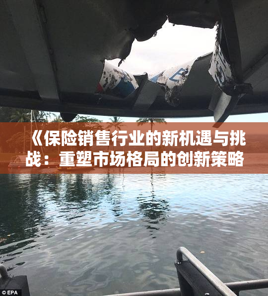 《保险销售行业的新机遇与挑战：重塑市场格局的创新策略》