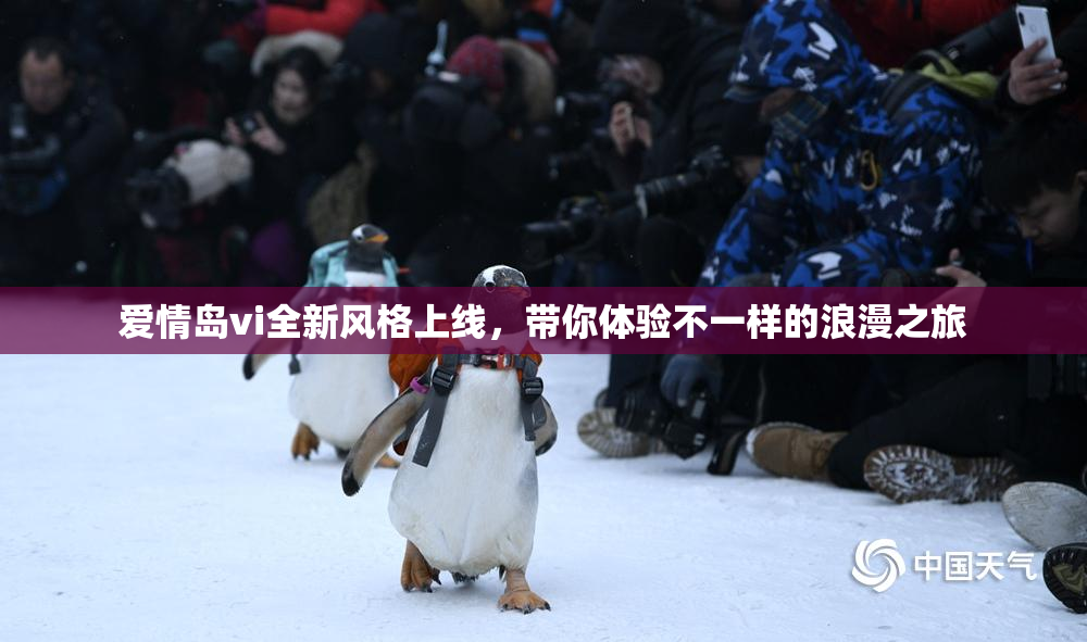 爱情岛vi全新风格上线，带你体验不一样的浪漫之旅