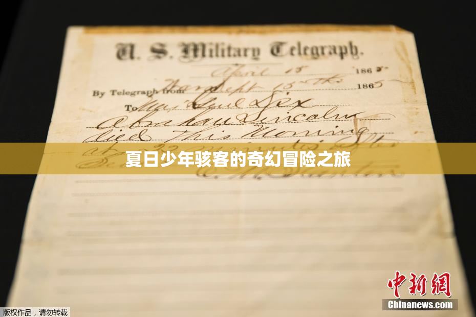 夏日少年骇客的奇幻冒险之旅