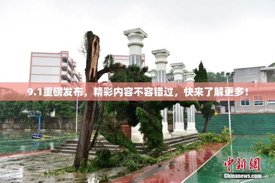9.1重磅发布，精彩内容不容错过，快来了解更多！