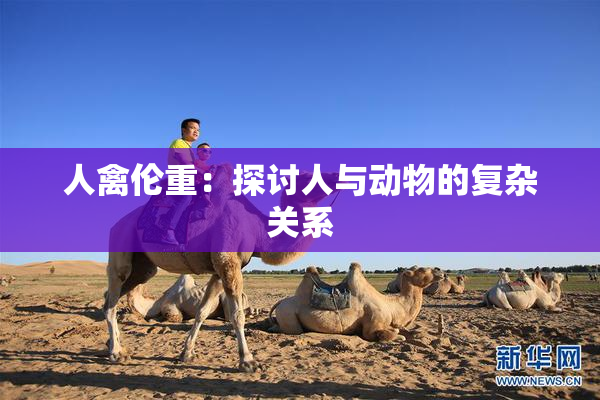 人禽伦重：探讨人与动物的复杂关系