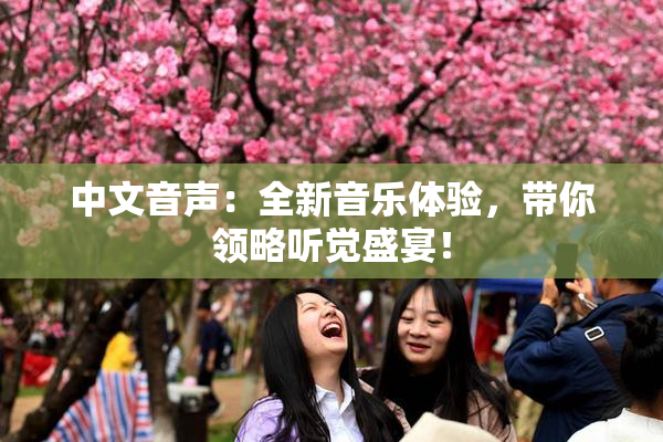 中文音声：全新音乐体验，带你领略听觉盛宴！