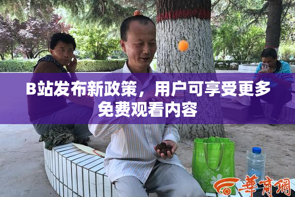 B站发布新政策，用户可享受更多免费观看内容