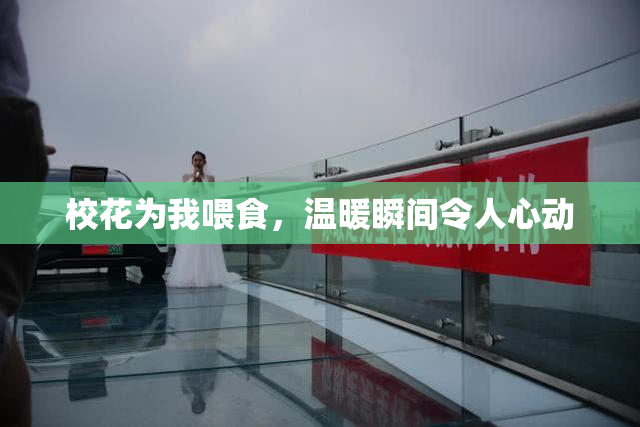 校花为我喂食，温暖瞬间令人心动