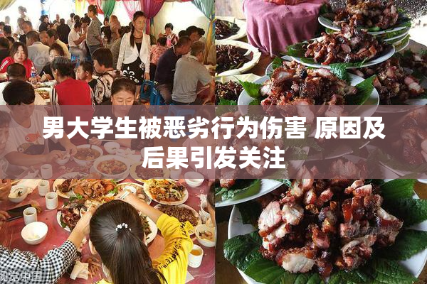 男大学生被恶劣行为伤害 原因及后果引发关注